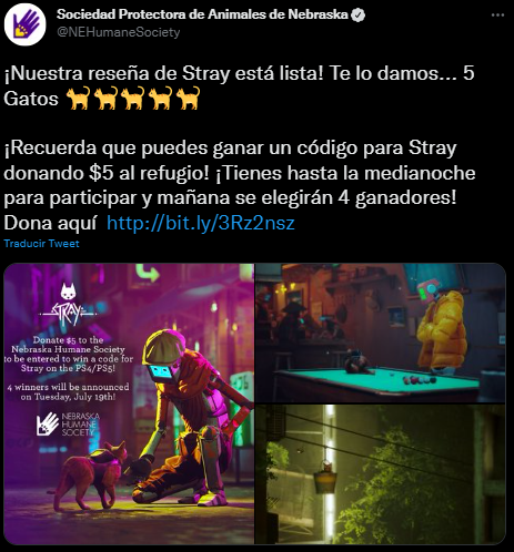 Twitter de asociación protectora de animales en nebraska sorteando Stray