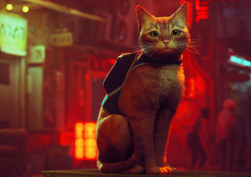 Stray el juego del gato