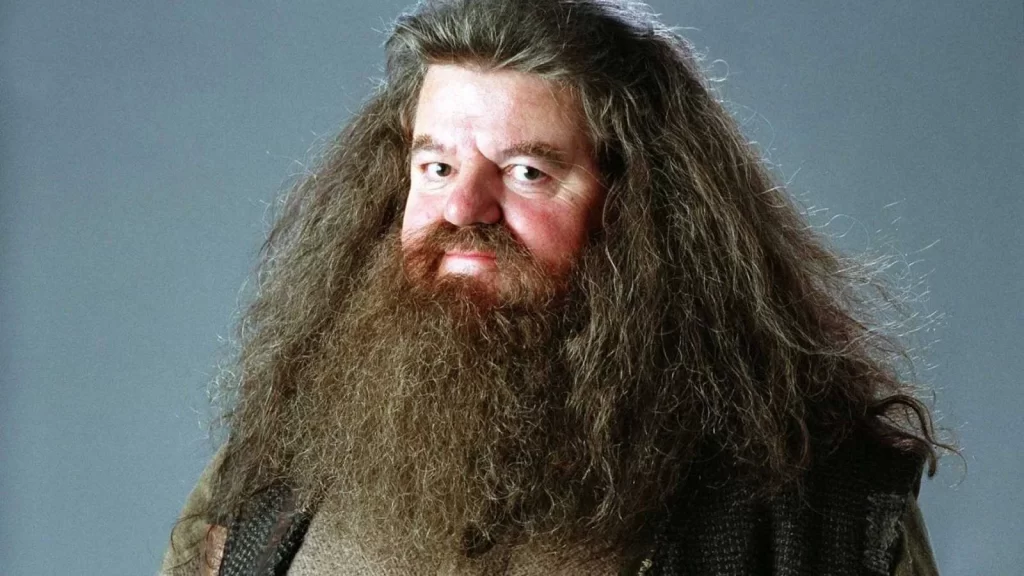 Hagrid Harry Potter